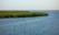 Forêt de mangrove dans le Sine Saloum