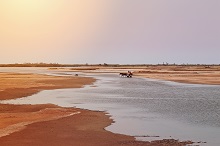 Lagune de Sine Saloum