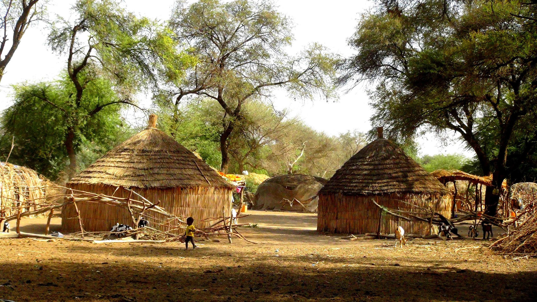 Enfant dans un village de brousse au Sénégal