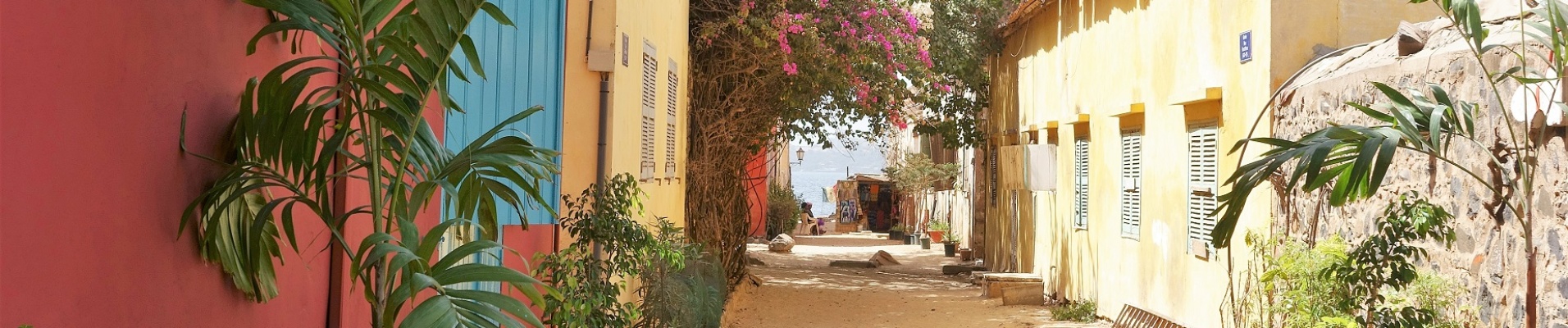 Rue de l'île Gorée aux maisons colorées