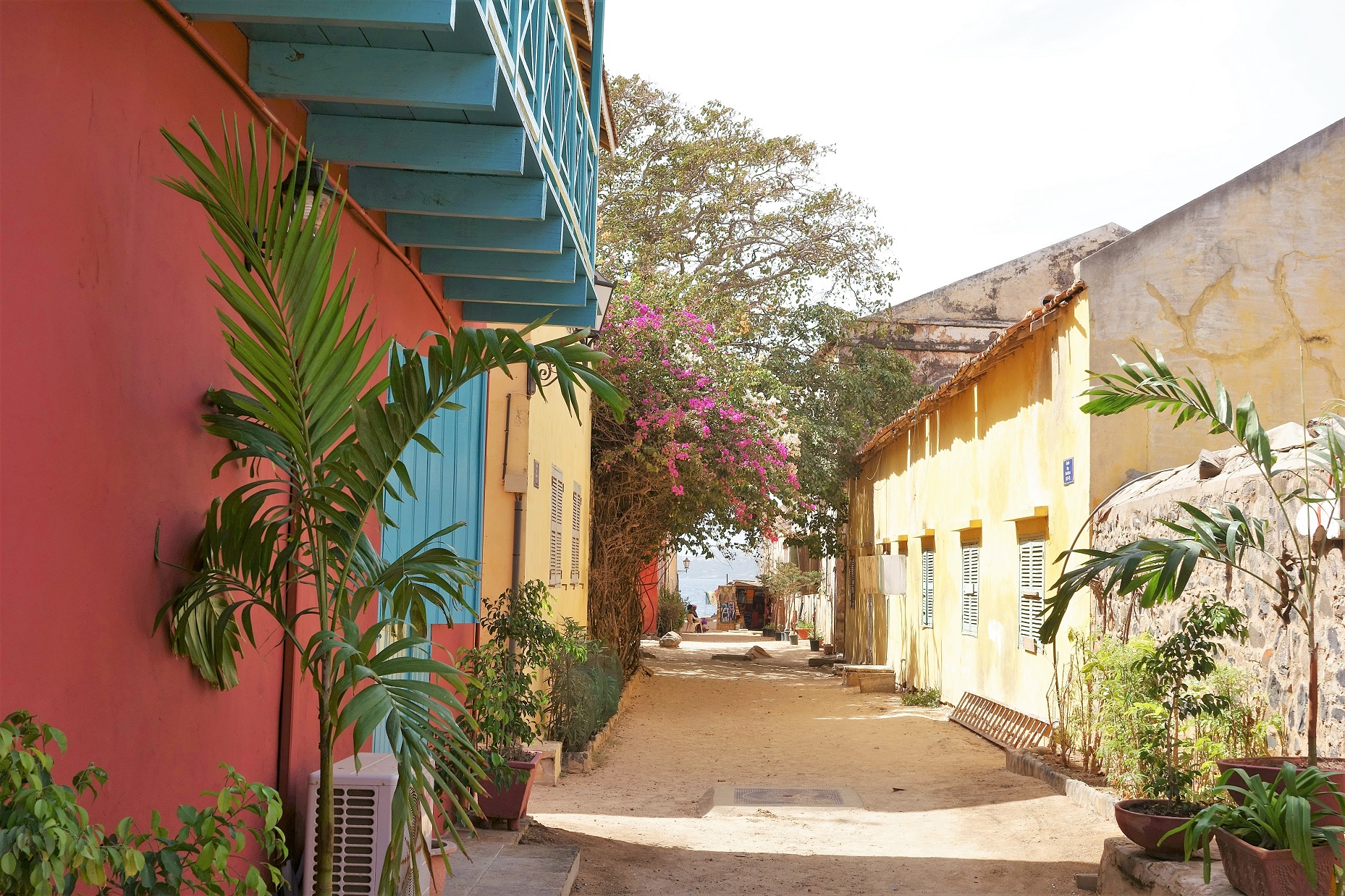 Rue de l'île Gorée aux maisons colorées