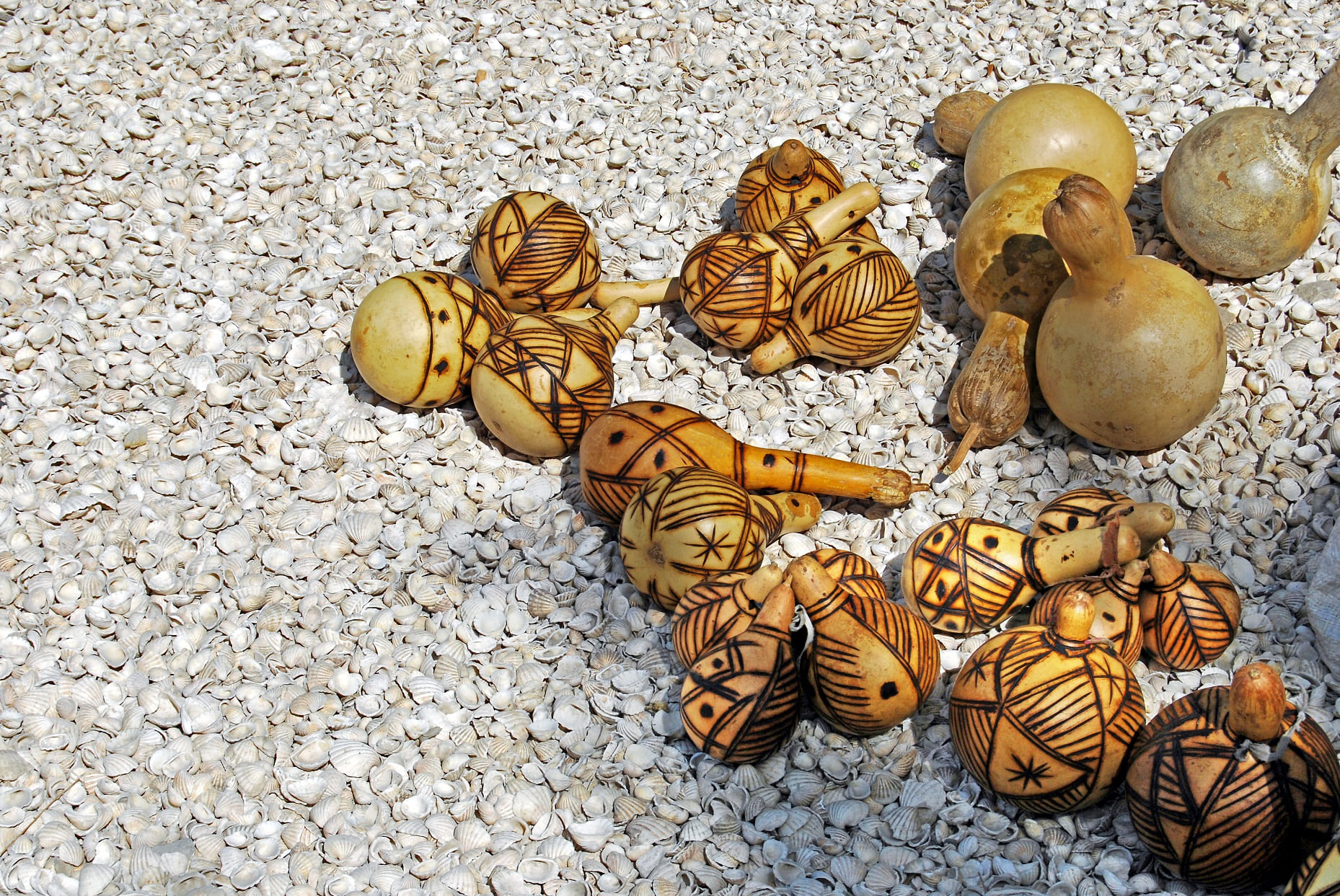 maracas sur des coquillages