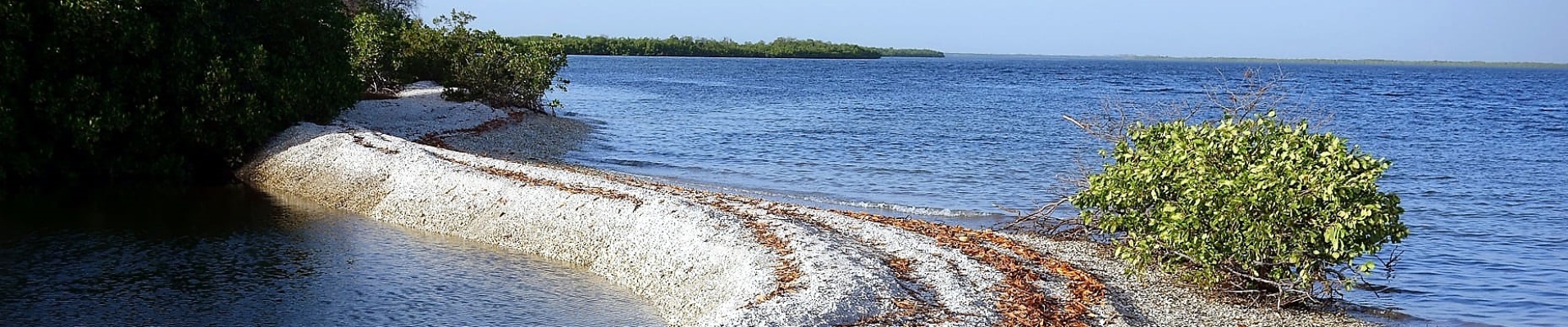 Petite lagune de sable et de coquillages dans le Sine Saloum