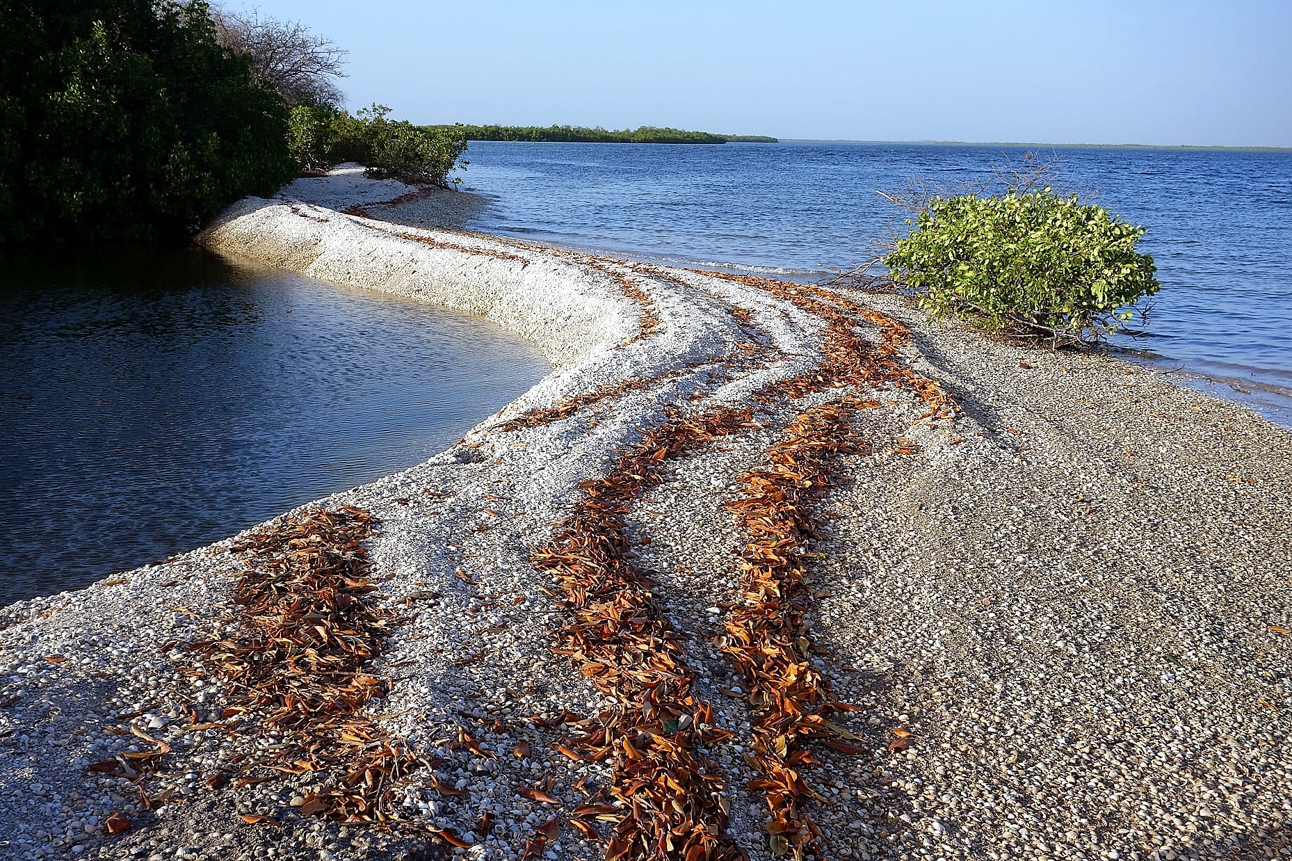 Petite lagune de sable et de coquillages dans le Sine Saloum