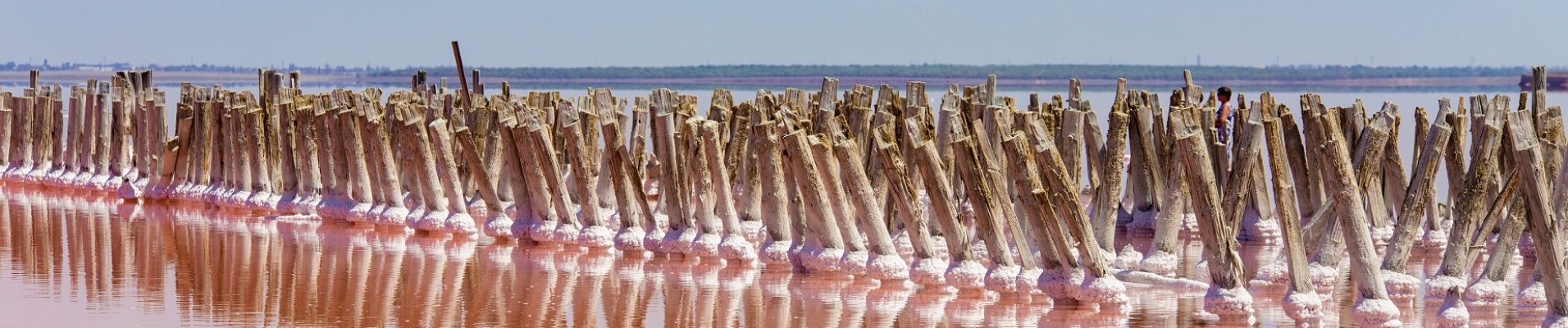 Batons dans le lac salé Retba au Sénégal