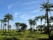 nature verdoyante avec palmiers dans la région de la Casamance