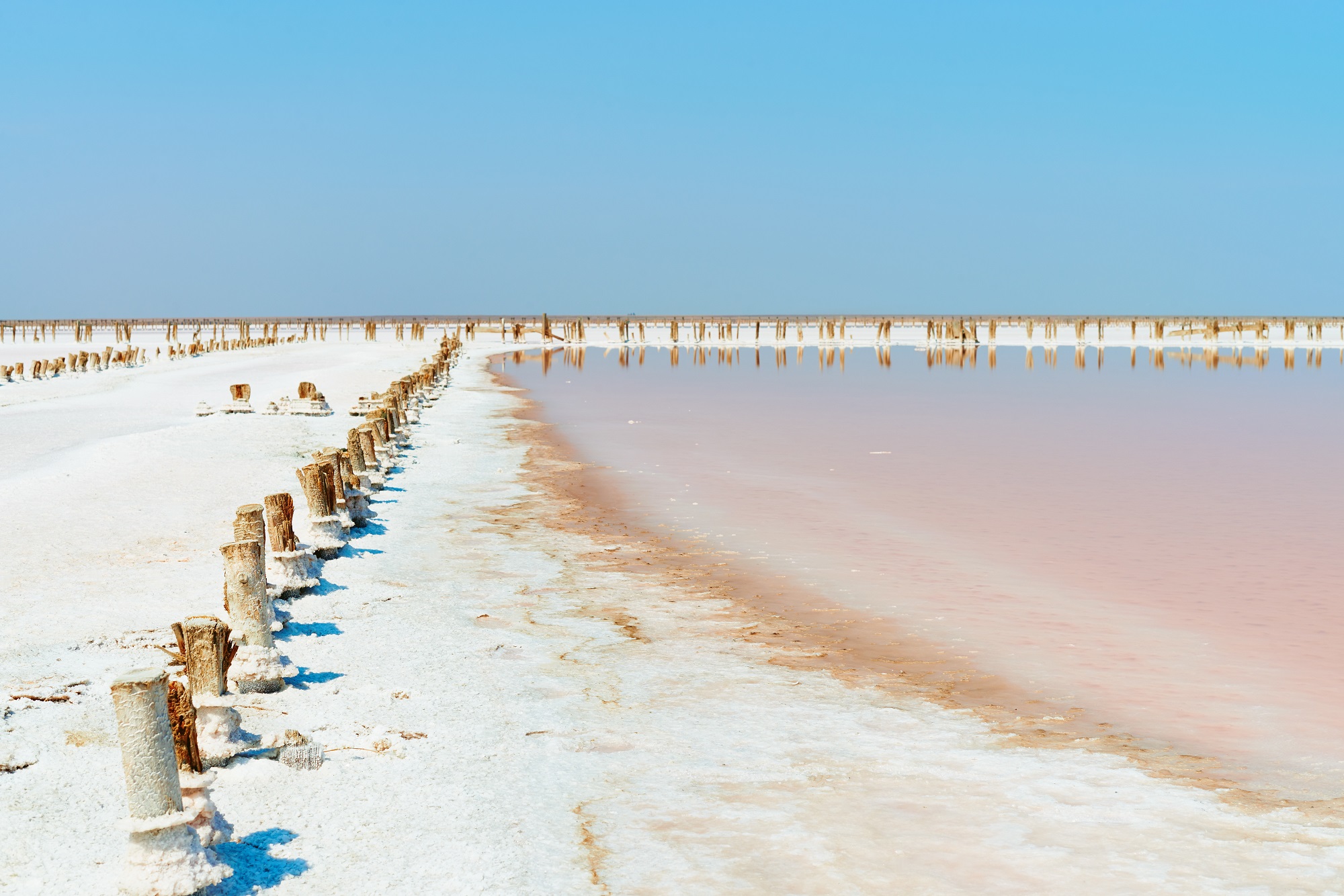 Poteaux de bois enfoncés dans le sable au Lac Retba