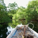 Pirogue entre les mangroves du Delta du Sine Saloum