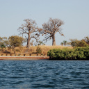 Fleuve Senegal