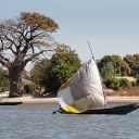 Senegal Fleuve