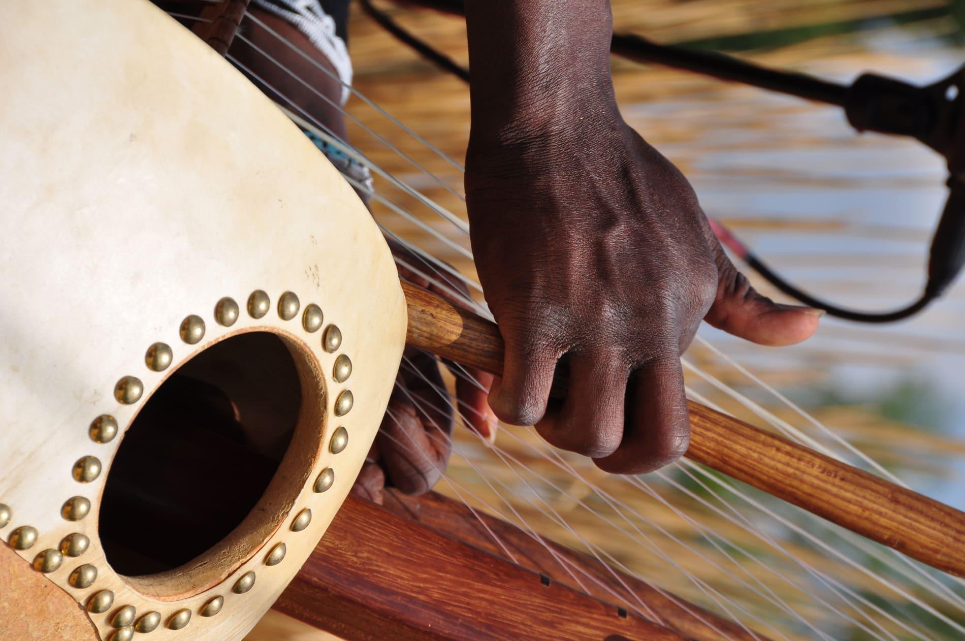 Kora Instrument du Sénegal