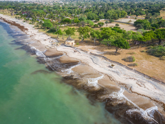 ocean-atlantique-palmarin-senegal